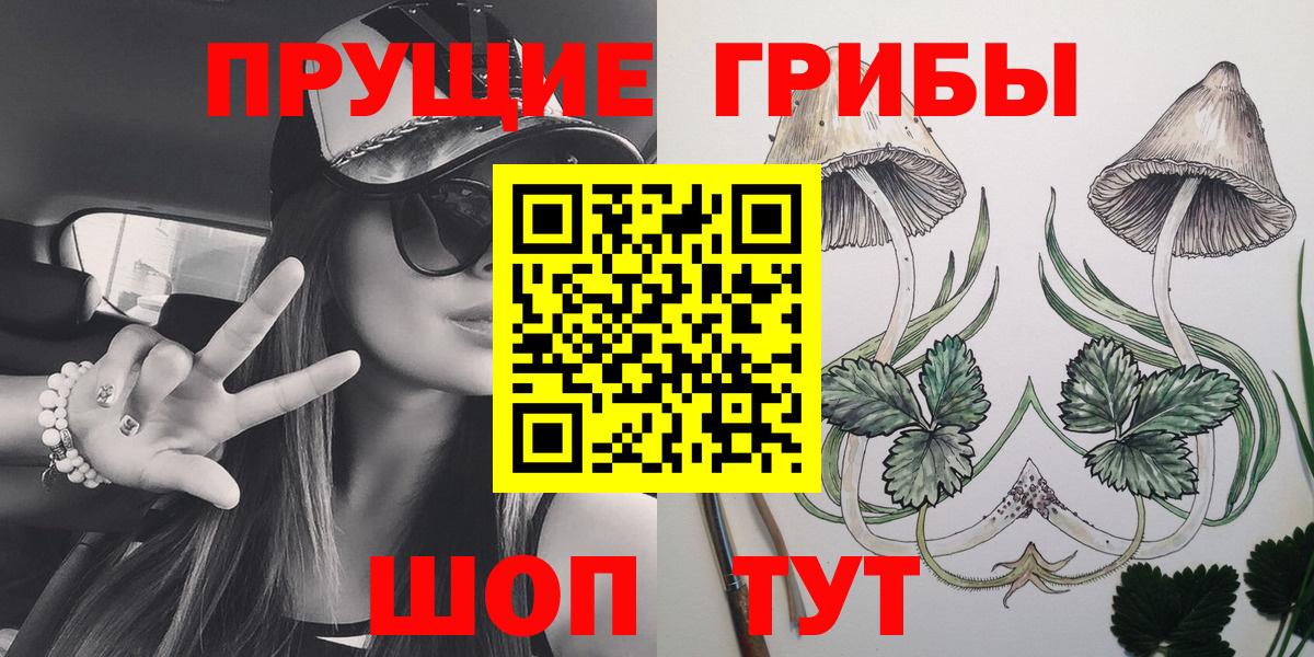Псилоцибиновые грибы Psilocybine cubensis Киржач
