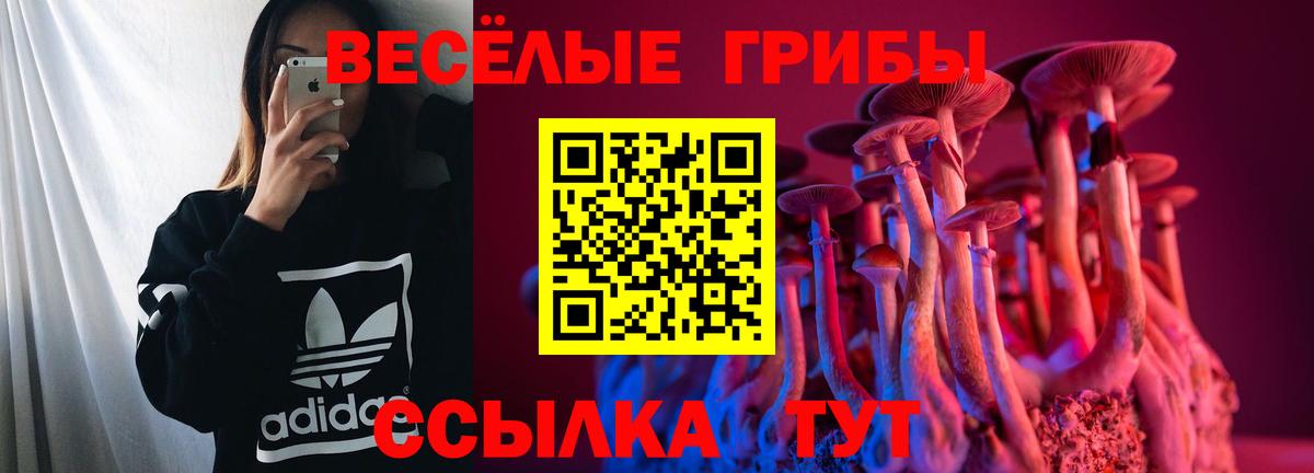 даркнет сайт  Галлюциногенные грибы Psilocybine cubensis  Вход с VPN  Киржач 